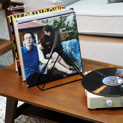 Стійка для вінілових платівок Vinyl Rack (Iron Wire) Фото №2