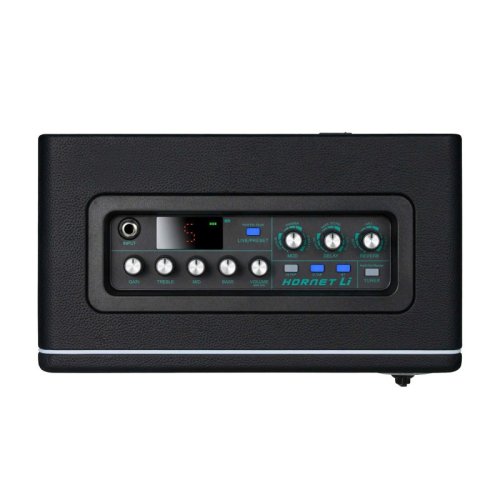 Комбоусилитель Hornet Black Li Фото №2