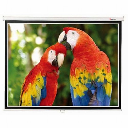 Экран для проектора SGM-4302 Фото №3
