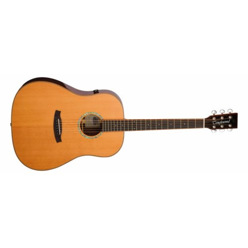 Электроакустическая гитара TRS5 SE Фото №2