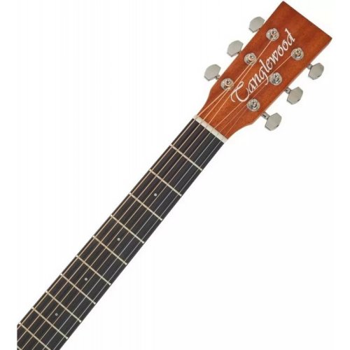 Електроакустична гітара TR5 Фото №4