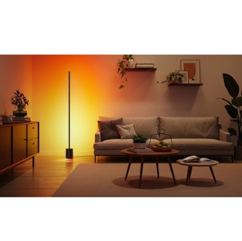 Led торшер H607C, черный Фото №7