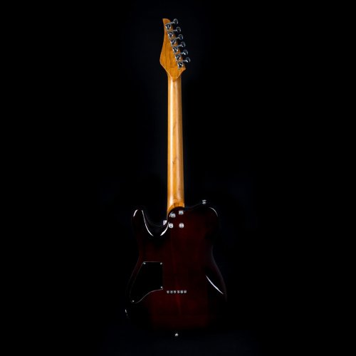 Электрогитара JT-450 QTPK Фото №6