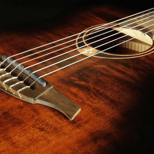 Акустична гітара Lag Tramontane TN70A-B&B Фото №4