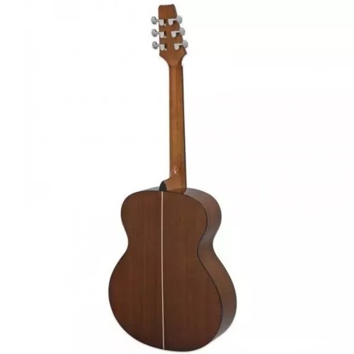 Акустическая гитара AF-10 MTN Фото №2
