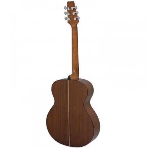 Акустическая гитара AF-10 TS Фото №2