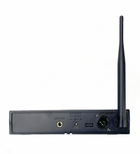 Радиосистема DGX-14B инструментальная Фото №2