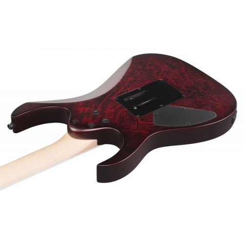 Електрогітара RG470DXW-WZM Фото №5