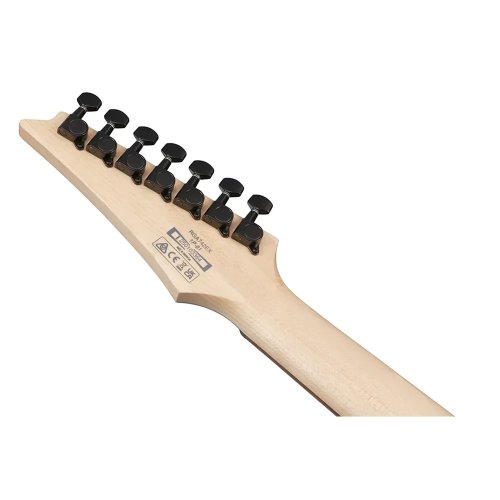 Електрогітара RGA742EX-BAM Фото №5