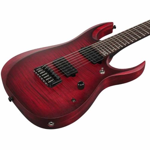 Электрогитара RGD721FA-WUF Фото №4