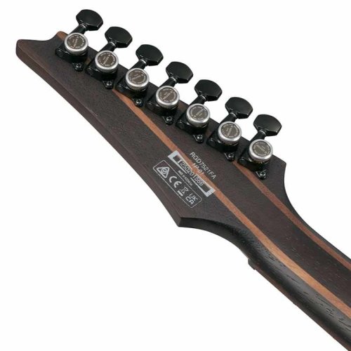 Электрогитара RGD721FA-WUF Фото №7