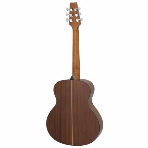 Акустическая гитара AF-10 N Фото №2