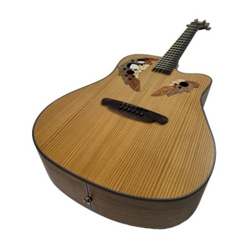 Акустическая гитара TQ-PS Фото №2