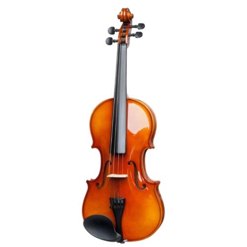 Скрипка акустична STAGG VN-4/4 L Фото №2