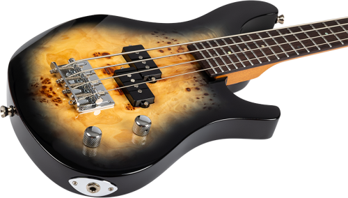 Укулеле Mini Bass PBR Фото №4 Укулеле Mini Bass PBR Фото №4