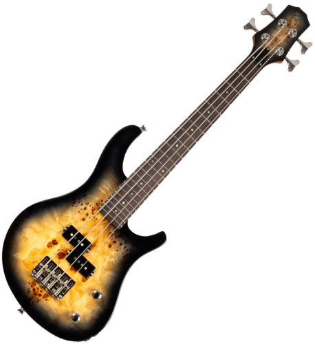Укулеле Mini Bass PBR Фото №3 Укулеле Mini Bass PBR Фото №3