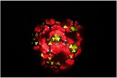LED прилад STARZONE PSYCHEDELIC DMX Фото №6