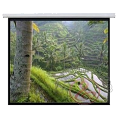 Экран настенный 100 Фото №2