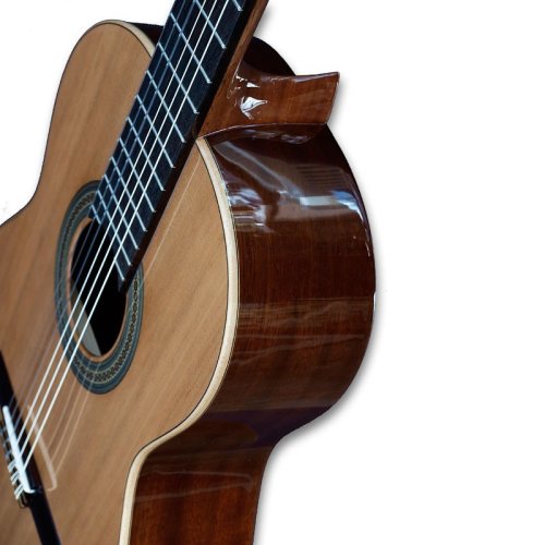 Гітара Model 201M Фото №2