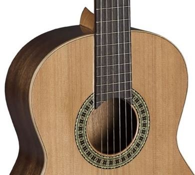 Гітара Model 201M Фото №3