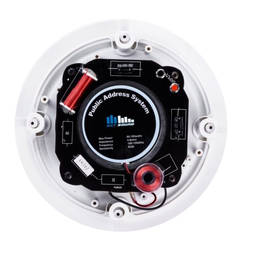 Стельовий динамік R-915W (HI-FI) Фото №4