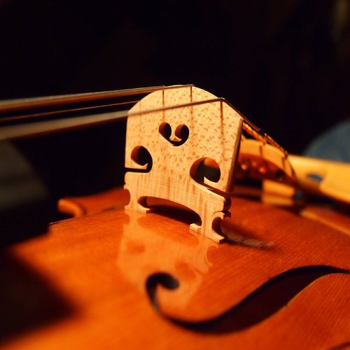 Підставка под струны для скрипки ViolinBridge Фото №2