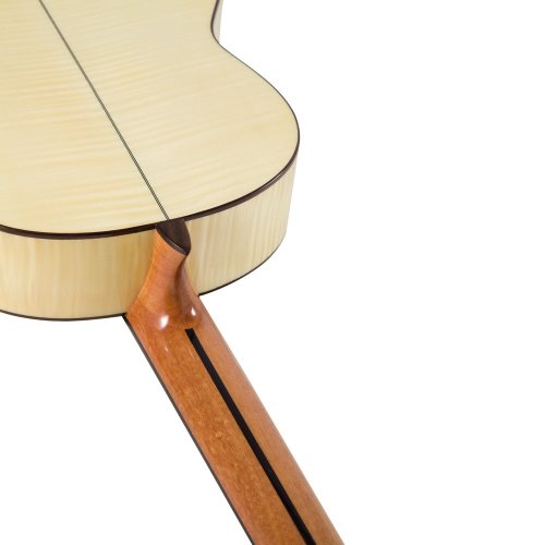 Гітара  F4 Фото №3 Гітара  F4 Фото №3