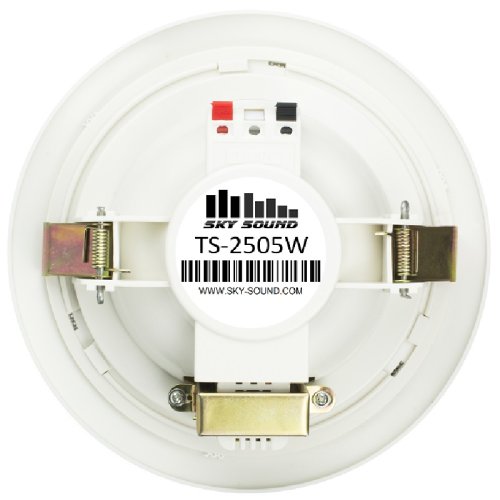 Стельовий гучномовець TS-2505W Фото №2