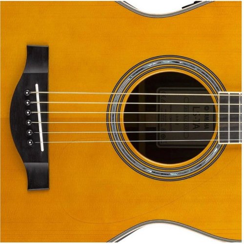 Акустическая гитара LSTA VINTAGE TINT Фото №2