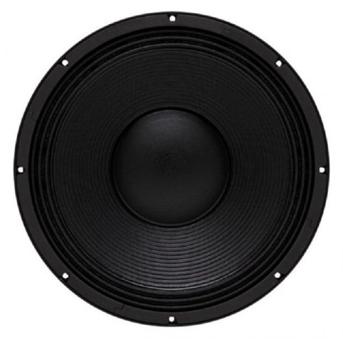 Динамик 15SW100 Фото №2 Динамик 15SW100 Фото №2