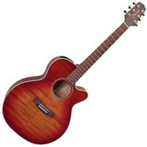 Акустическая гитара EG444C-VV Фото №2