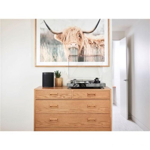 Проигрыватель винила TT-N503 Black Фото №3