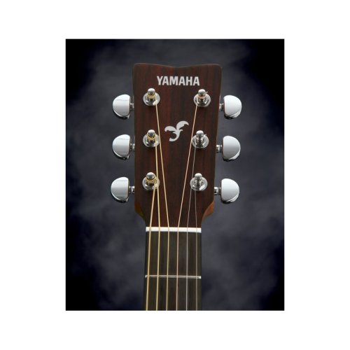 Акустическая гитара FGX800CSB//02 Фото №3 Акустическая гитара FGX800CSB//02 Фото №3