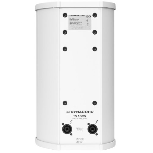 Акустична система TS 100W Фото №3